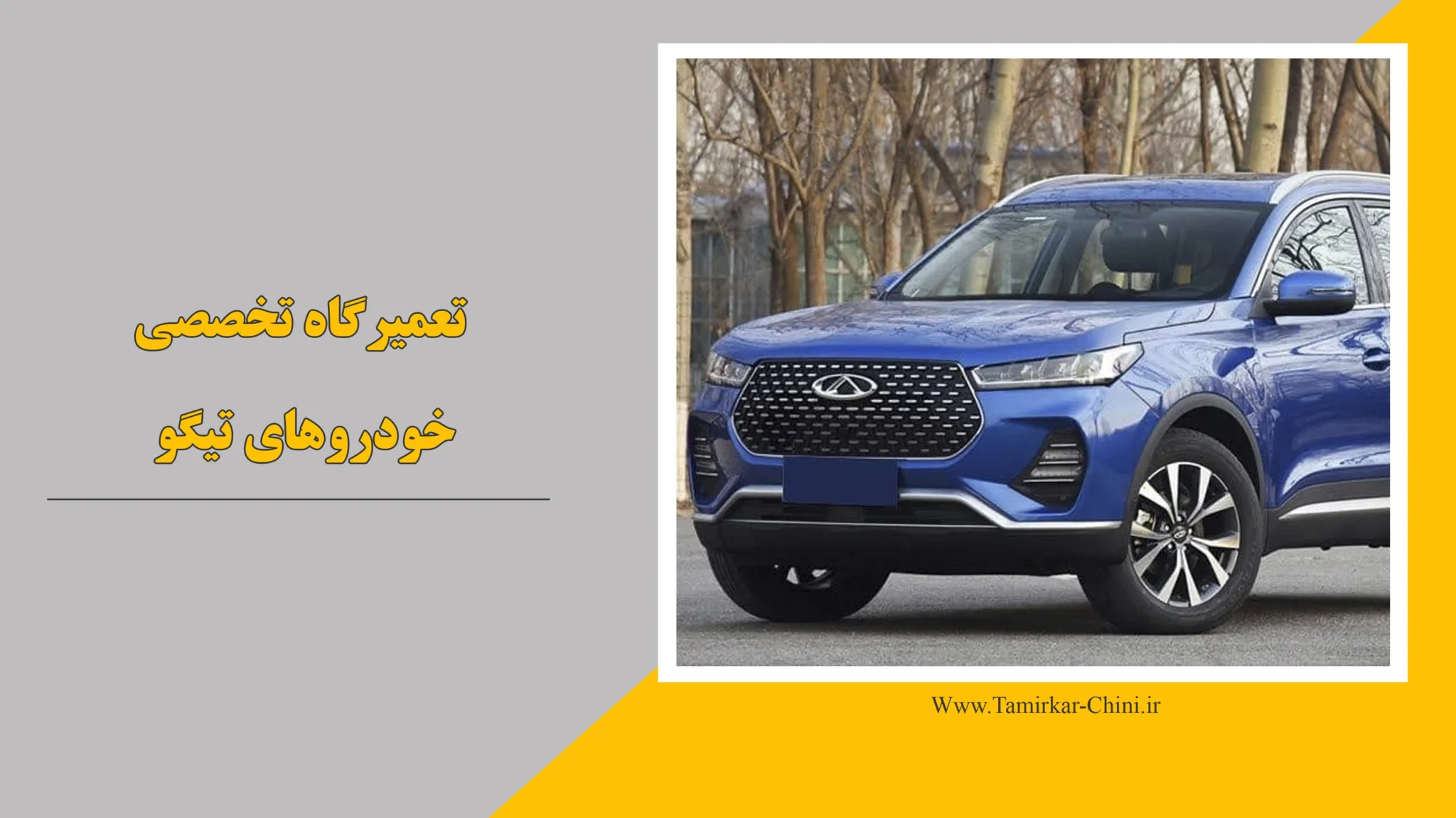تعمیرگاه تیگو