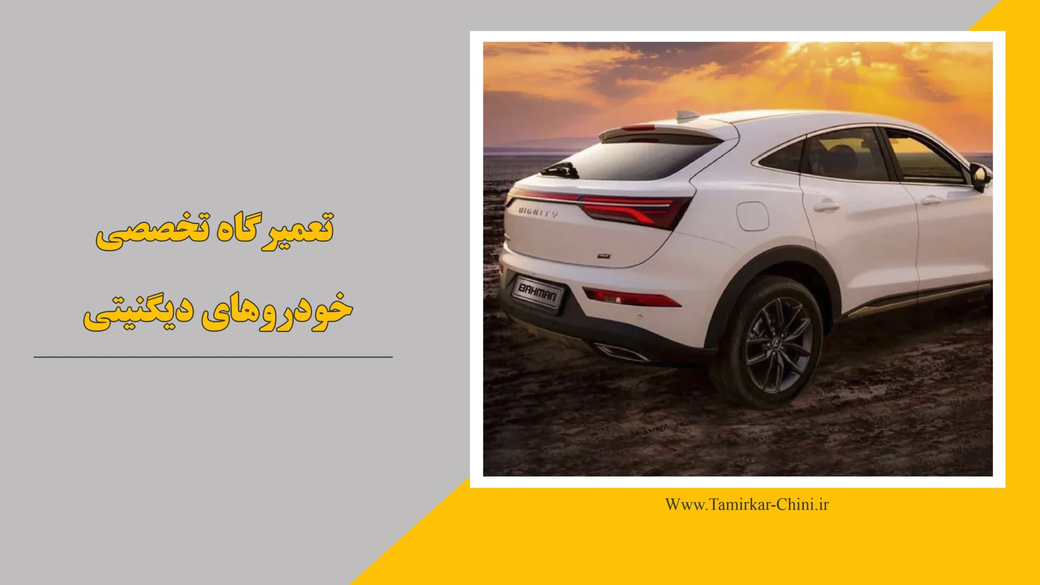 تعمیرگاه دیگنیتی
