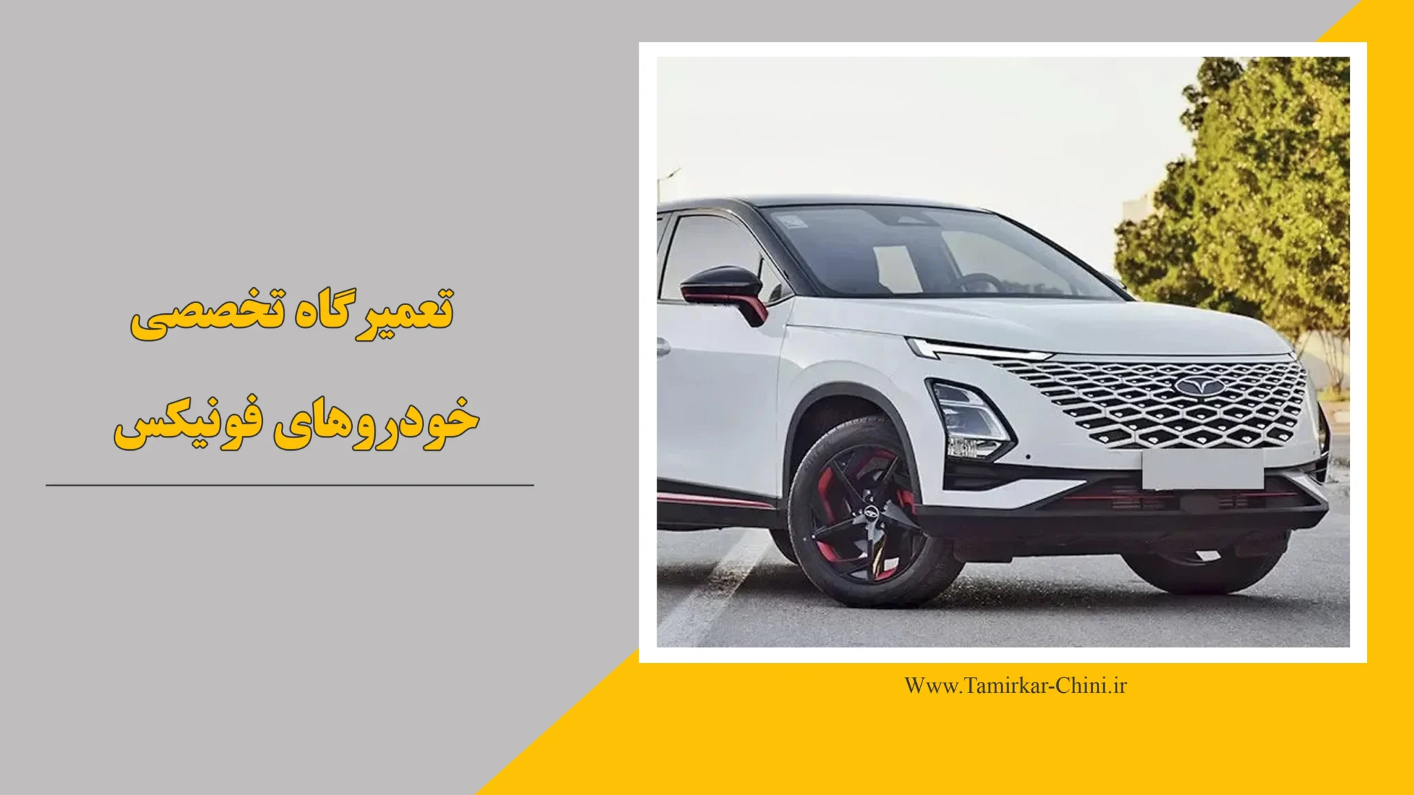 تعمیرگاه فونیکس